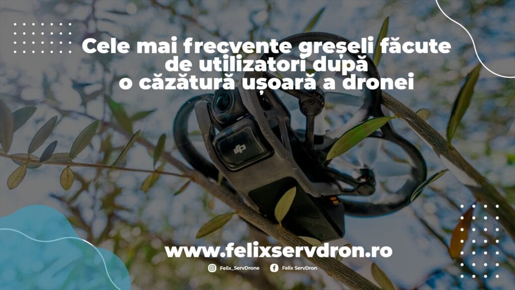 Drona DJI blocata in copac dupa o cazatura usoara | Felix ServDron